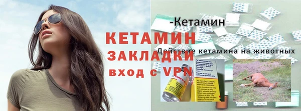 прущий лед Бородино