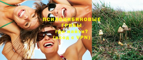 прущий лед Бородино