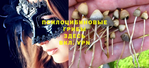 прущий лед Бородино