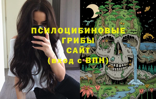 прущий лед Бородино