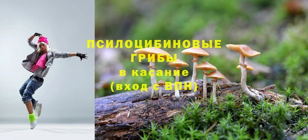 твердый Бронницы