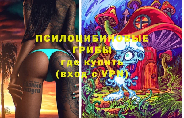 MDMA Богородицк