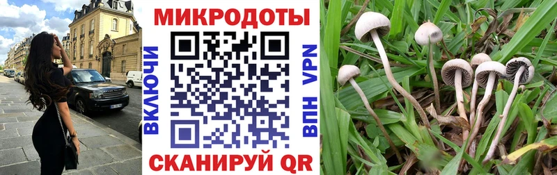 Псилоцибиновые грибы Cubensis  даркнет сайт  Михайловка 